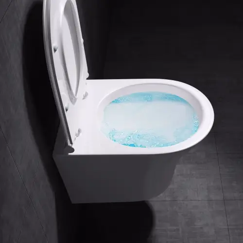 Misa WC Swiss Liniger Pia serii Rimless