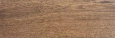 Płytka Drewnopodobna Fronda Roble GAT.1 20X60
