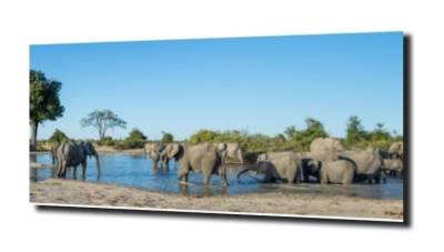 obraz szklany Kolorowa panorama  Botswana 