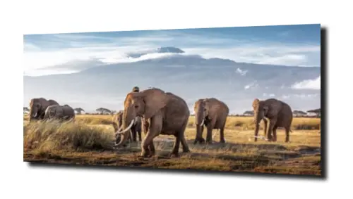 1159474a534b57544f7c89ef794f5816