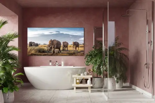 d5c7092387095ac652f0378c947c56ba