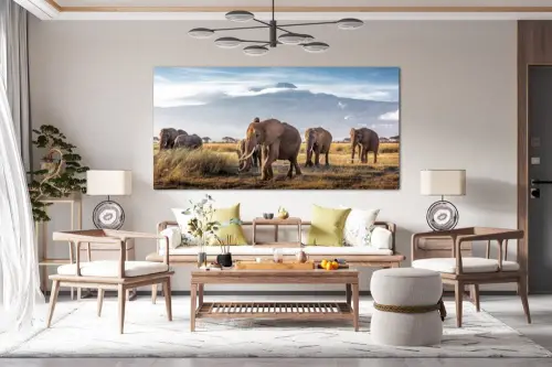 43c9d479bd6a83bd086c78602094b67a