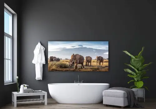 71d3a5cf9ded344e53ed0ffaa1593663