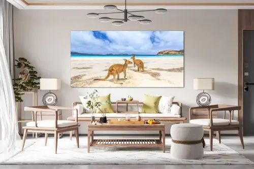 2ba9838109131641e87246fe20bd4ded