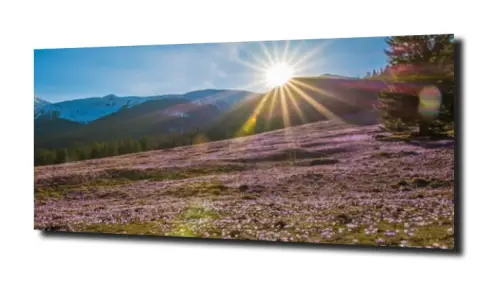 67731a021e059fc895c7312395338aa7