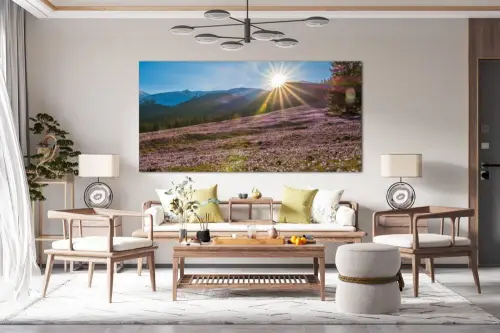 ddb43bde9f2fea2cf6899393359e5671