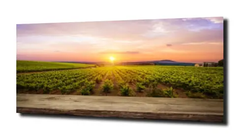 c18decb19acb8ca074966f3b3a69d451