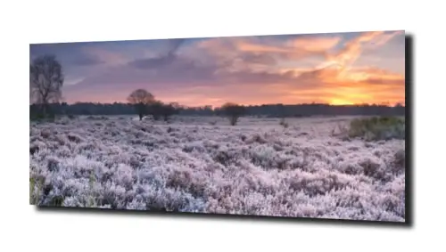 52f0223d34ee8f60214bcef4ffe5d854