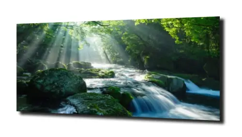 88215ccd58ae730642fdf23962623d8f