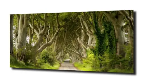 457ca5e2bc24e31c8a4abed9cbb40b5c