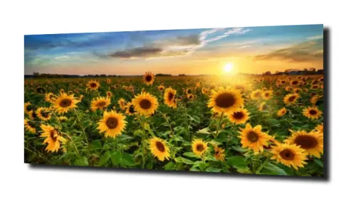 d13a795b0d35ea940851f80bf6dc9923