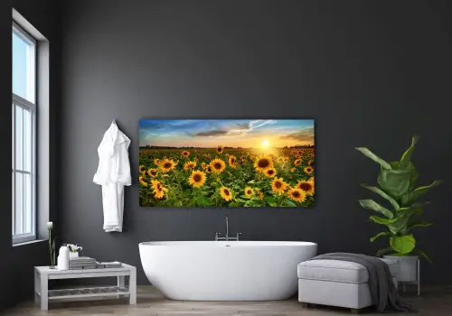 6058d54f784225cf316ba0b01a92bb57