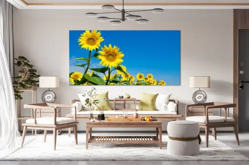 1adf88e3e64836305d5041dcbaf2b5f9