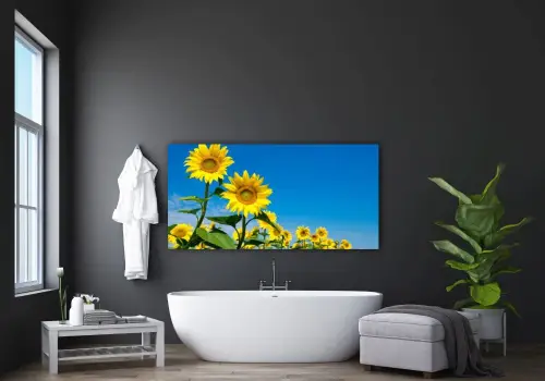 ffaac70aad98851cfcd097b6076f58ff