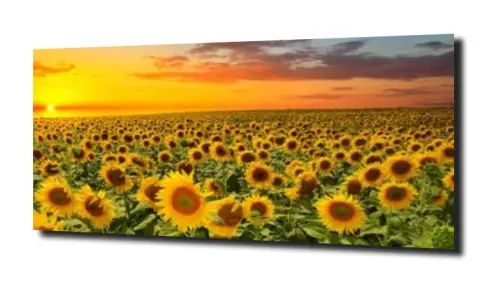 a7f9d1b66ea877d712d13d8cbfe534f9