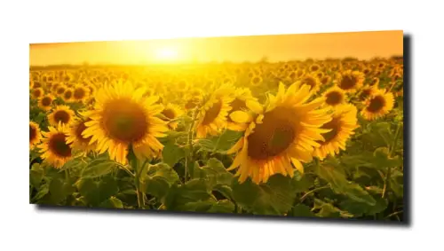 5da0aac22ab3cc6a6aa8d02f75dcdbde