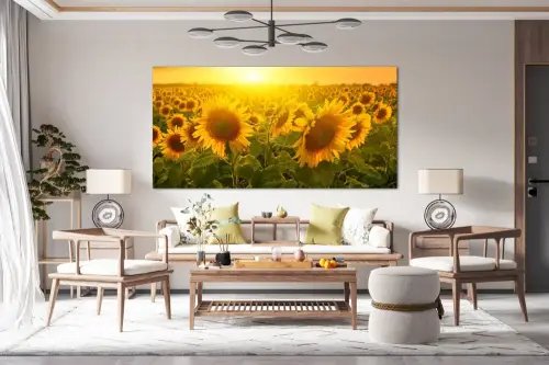 5462e905863f3860b8a5f198f74eab14