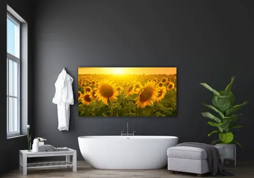 65a6de45350fb21236a6aa54f9d95c48