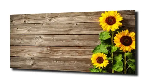 b055750140aa8136ea1377f9ad602ed5