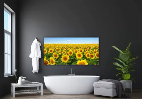 a8baac3962010ae86f347817215fad05