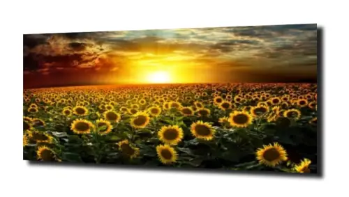 4b069013af359189823e060151f9d608