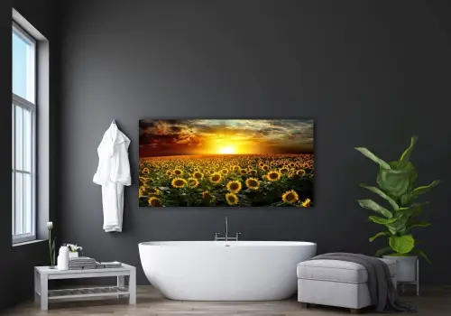 9f3d4c5a76ab8cd545dc8dc9795f310c