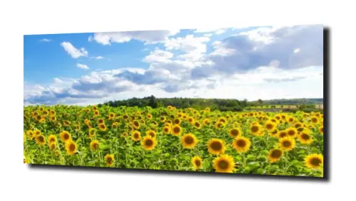 9c6de536e77c7910bd87d0a1310c29df