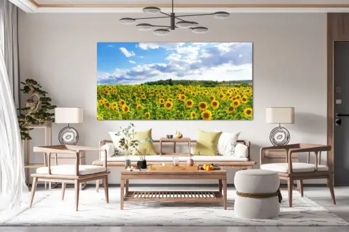 1a3f80b9142f27ca89e1940245ea6c87