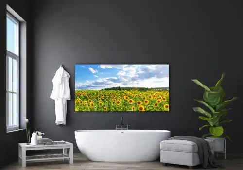 41b675f3779ddee8bab813a0e960c953