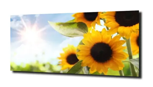 a769db449c42c215651187c12ab7cf6e