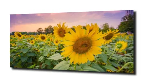 f74684eb8368df5dd457567a0b5022f9