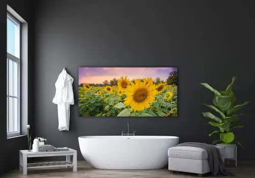 7058c6262dcd4f2c586083721faef3b9