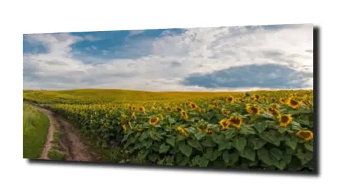 14e5fd0fbb67afba82b11f9843b006cb