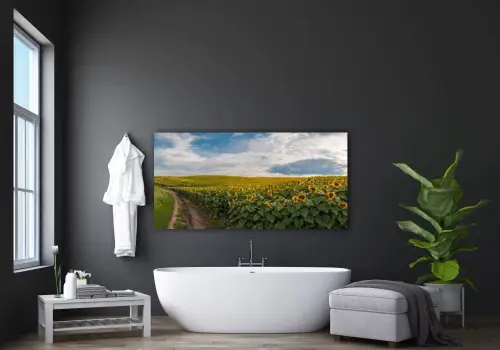 ac77e7d148f824339d36563177ba87e4