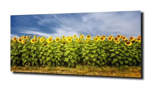 f3ad2889e82523f29e0387ec1e3b814e