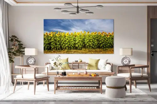 aad1529cf43785a125d88c3638f91bca