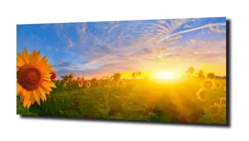 18da2cf3297c729f8beada160398e8e3