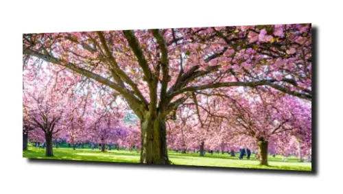 4cd57ec7ea8e706067e0ec9f84f901a0