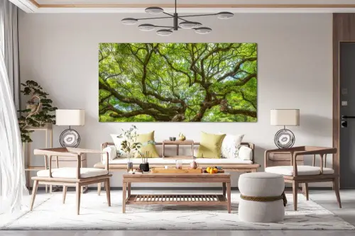 e38d71d427f79dc6341dce3e308b31d8