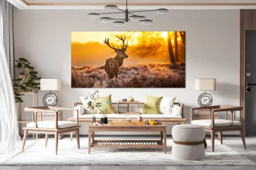 675fc796507166ada821505073b73673