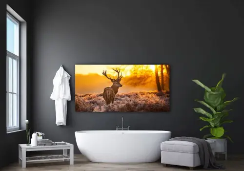 a2dc29ff2e70a8f2a74f9e7e685facfe