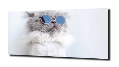 obraz na szkle, panel szklany Kotek okulary 