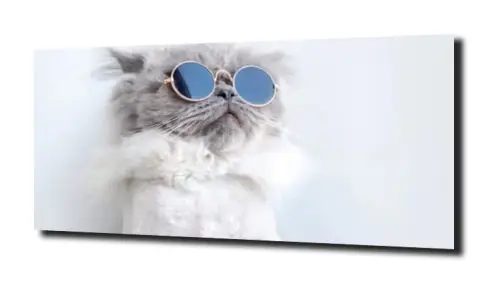 b7d77505bdcb1bc3a9198b9a7ed97aad