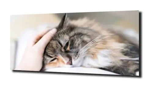 b3d5a177058dcfa0ee8d1e070713c6ab