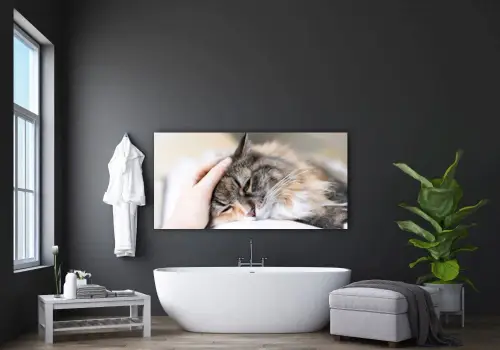 b796c4d346dec715010a67cfa8a39bcb