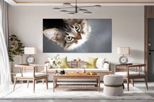 60a6d0e0e08110ccac408e232170fbc8