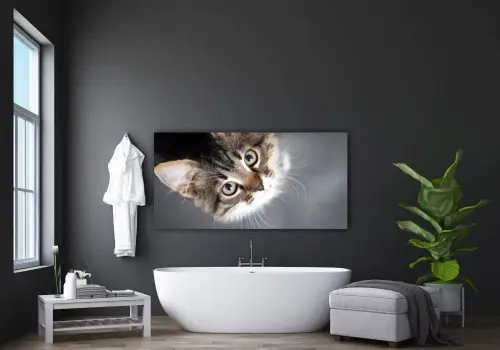 9e83b2566a6edb4fbead0cc78c63d6e1