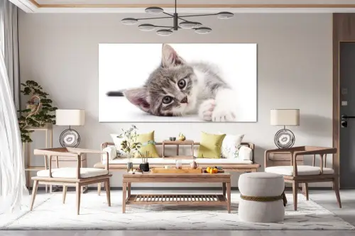 51613aefd885d3645c700faba619a380