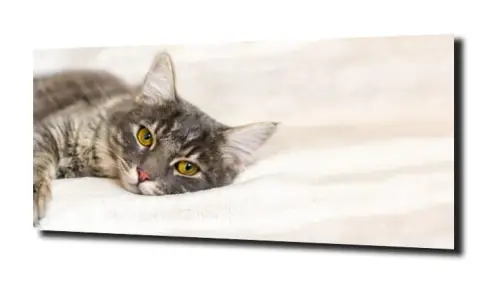 bf092f0c59119a624911b48b6dd75a9f