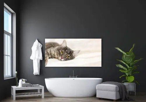 3f2fd3f7c1a04b8c3aaae8b12356614b